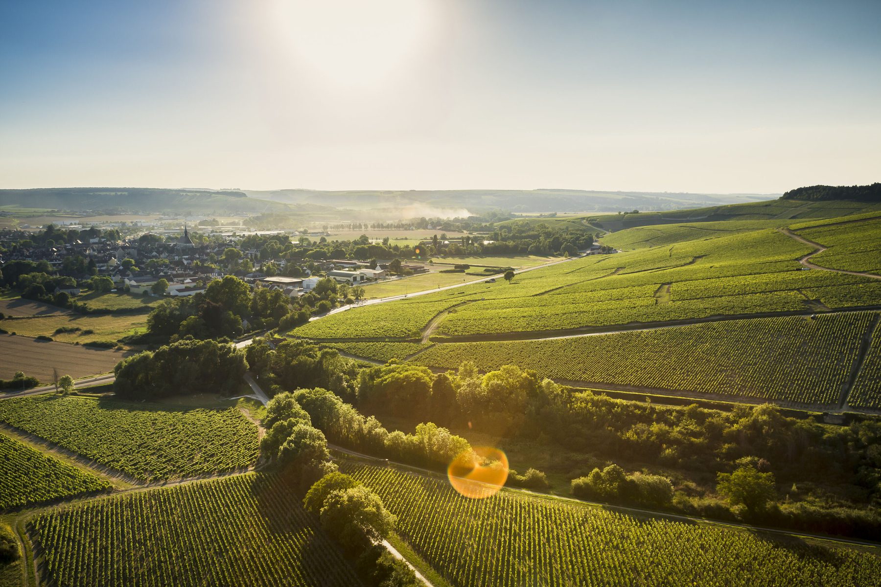 Aerial view of the Chablis vineyards